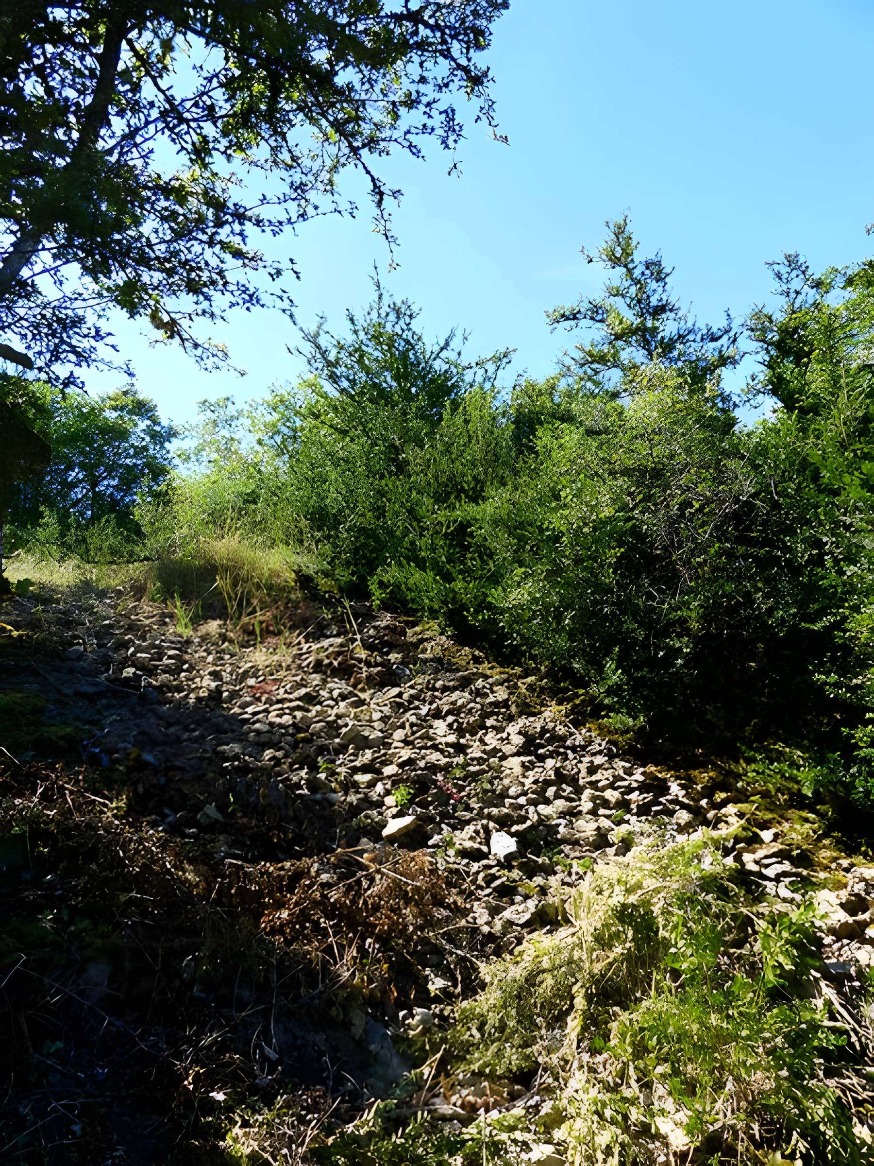 Camp préhistorique de Chassey-le-Camp
