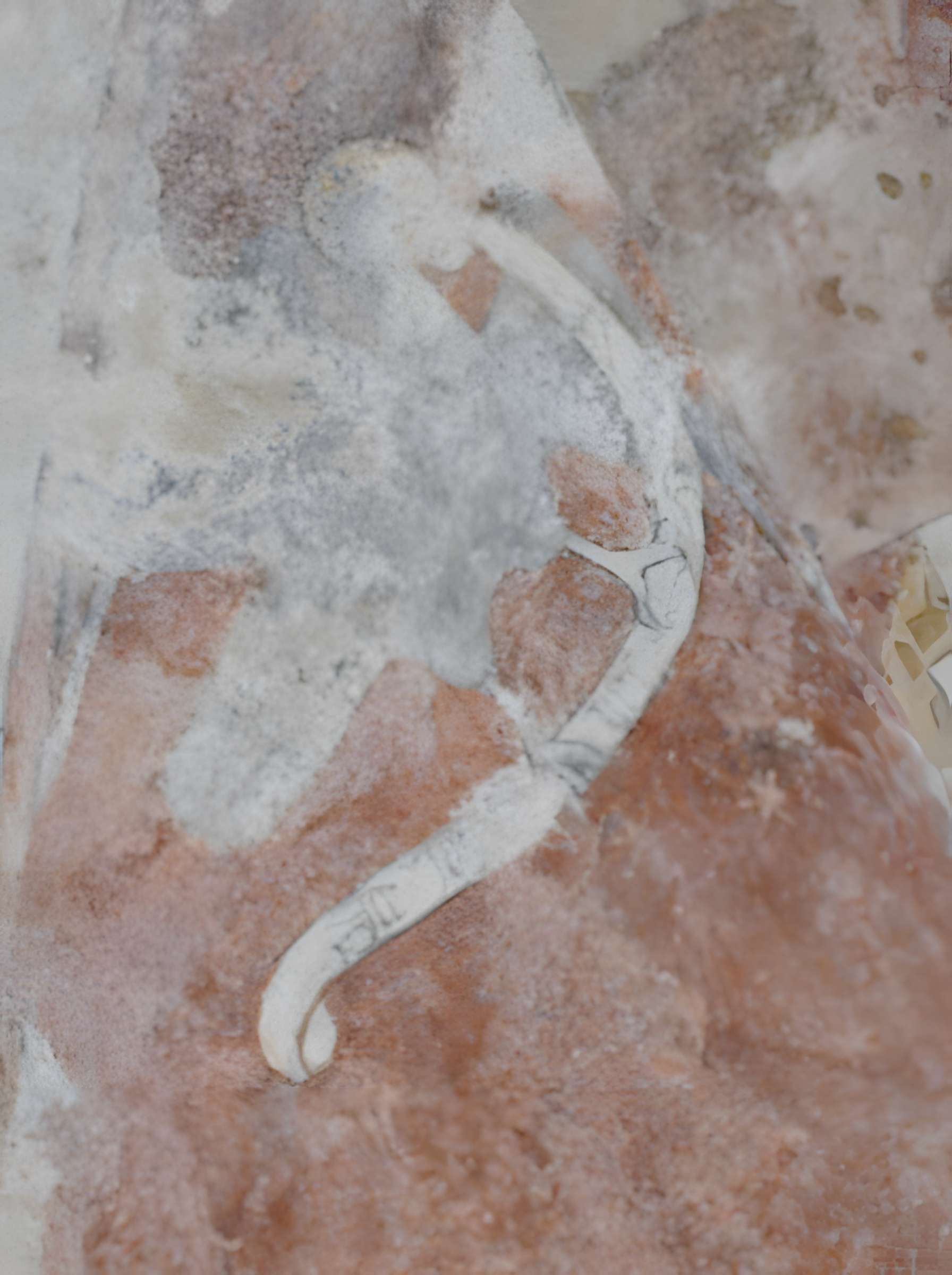 Église Saint-Pierre de Saint-Pé-d'Ardet