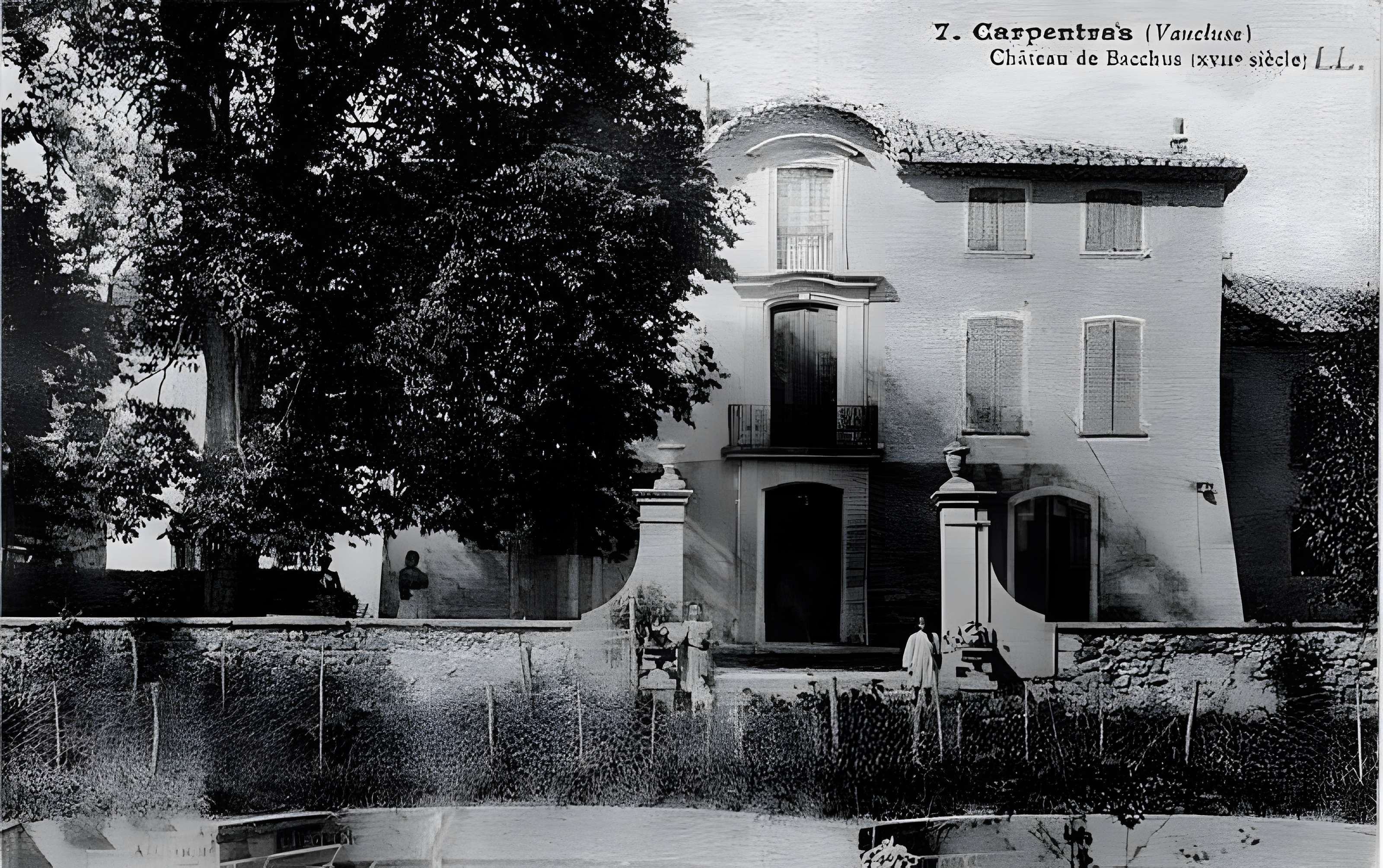 Campagne de Bacchus de Carpentras