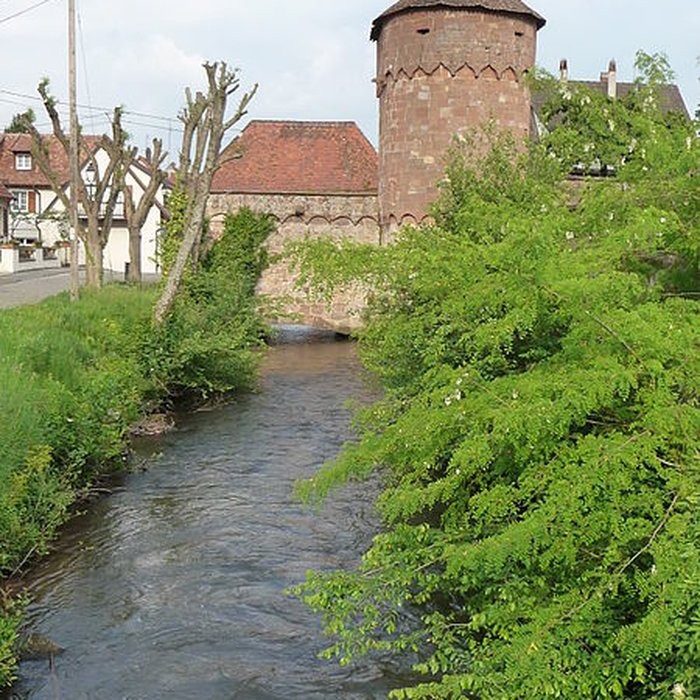 Photo de Canal de la Lauter à Wissembourg