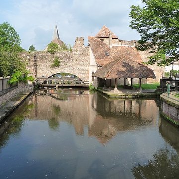 Canal de la Lauter à Wissembourg