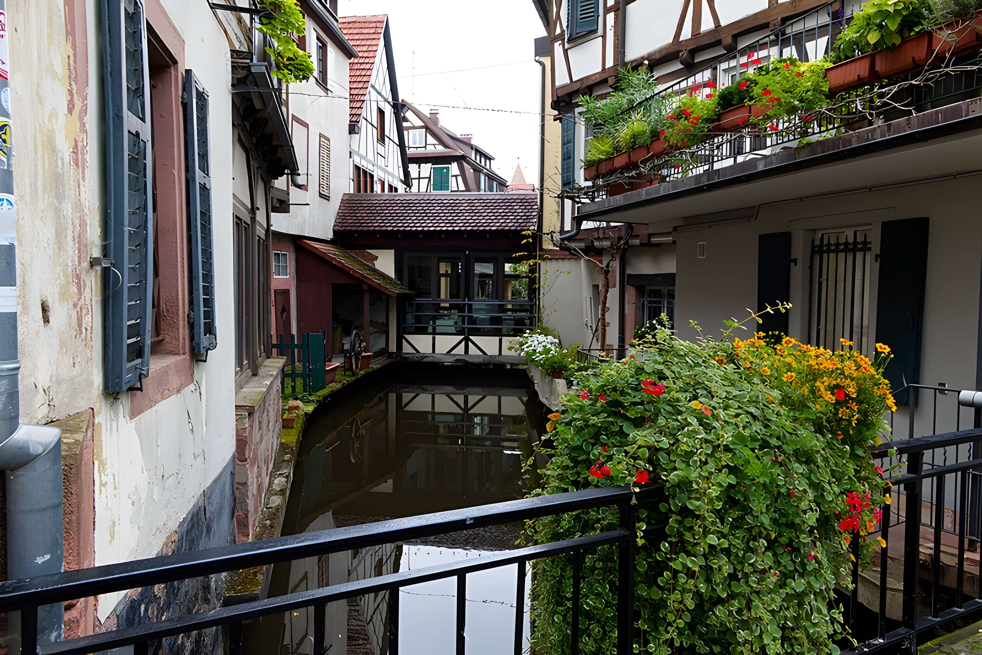 Canal de la Lauter à Wissembourg