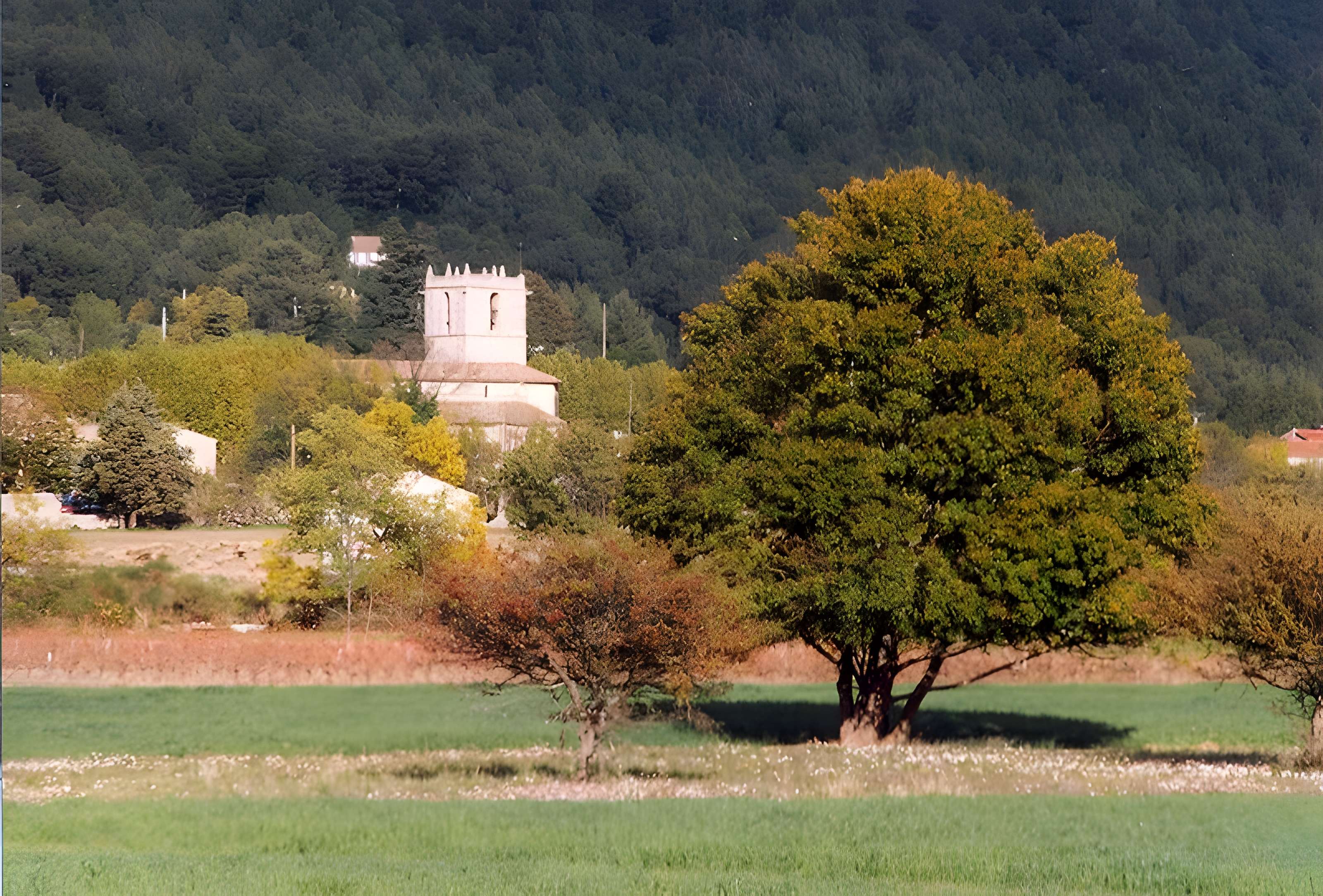 Église Saint-Pierre de Signes