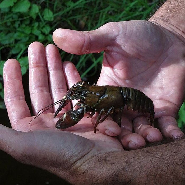 Photo de Canal des moines dAubazine