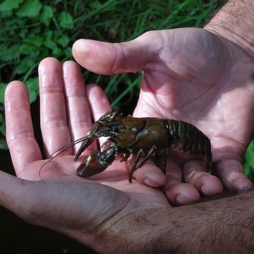 Canal des moines dAubazine