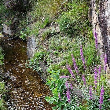 Canal des moines dAubazine