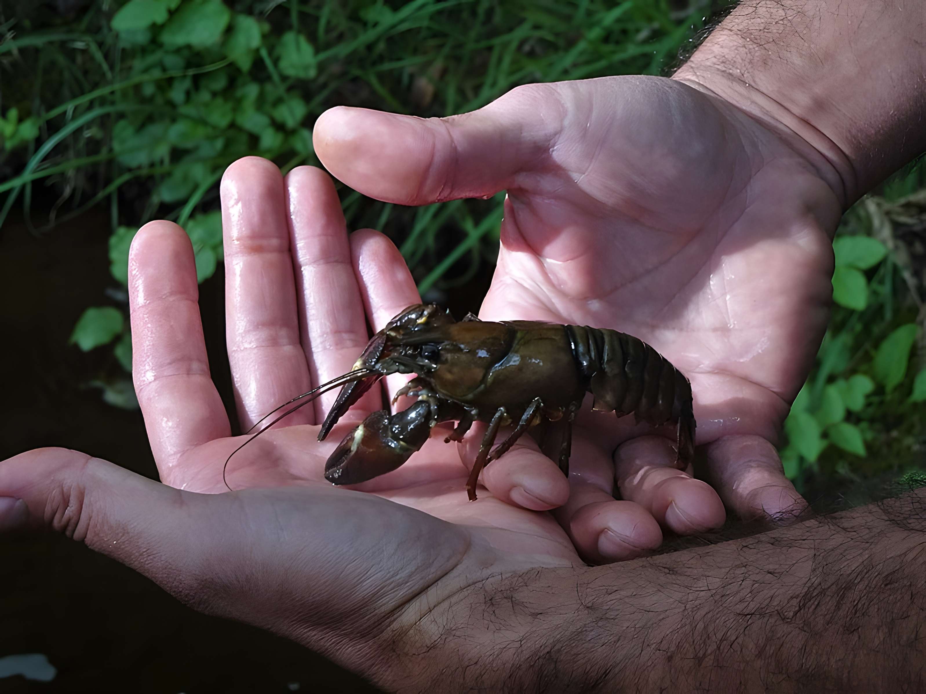 Canal des moines d'Aubazine