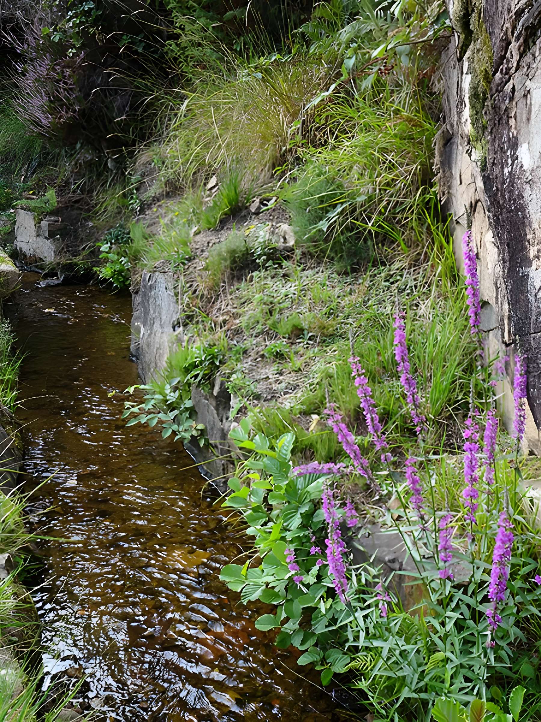 Canal des moines d'Aubazine