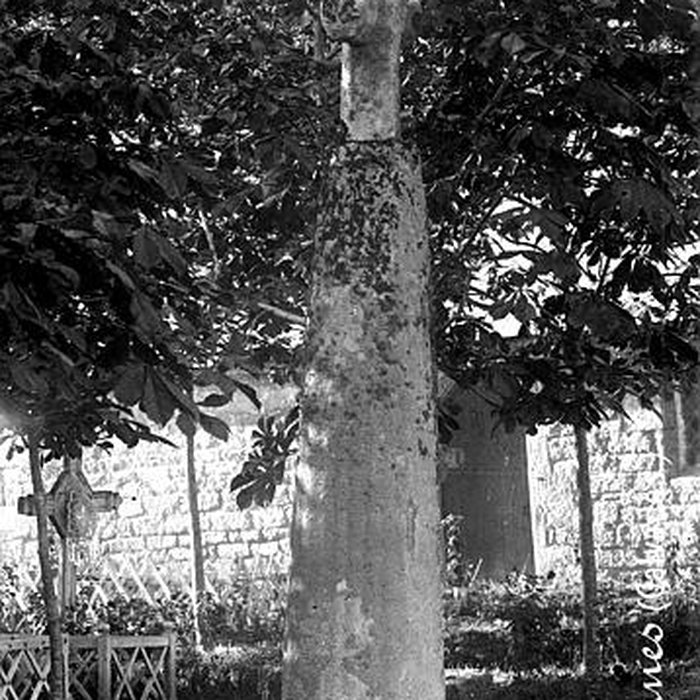 Photo de Église Saint-Pierre de Vienne-en-Bessin