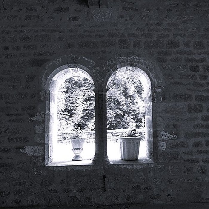 Photo de Église Saint-Pierre de Vignes