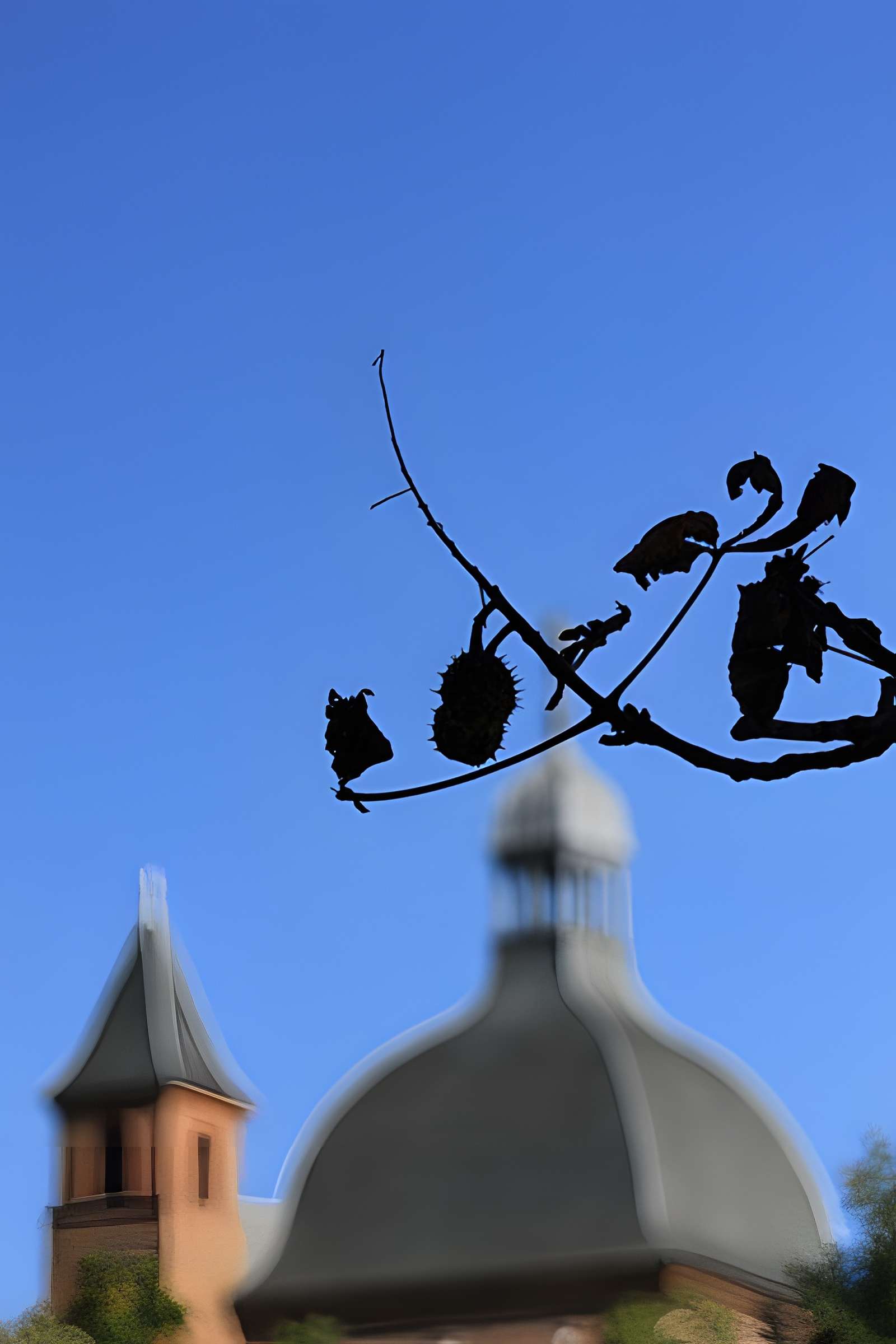 Église Saint-Pierre des Chartreux de Toulouse 