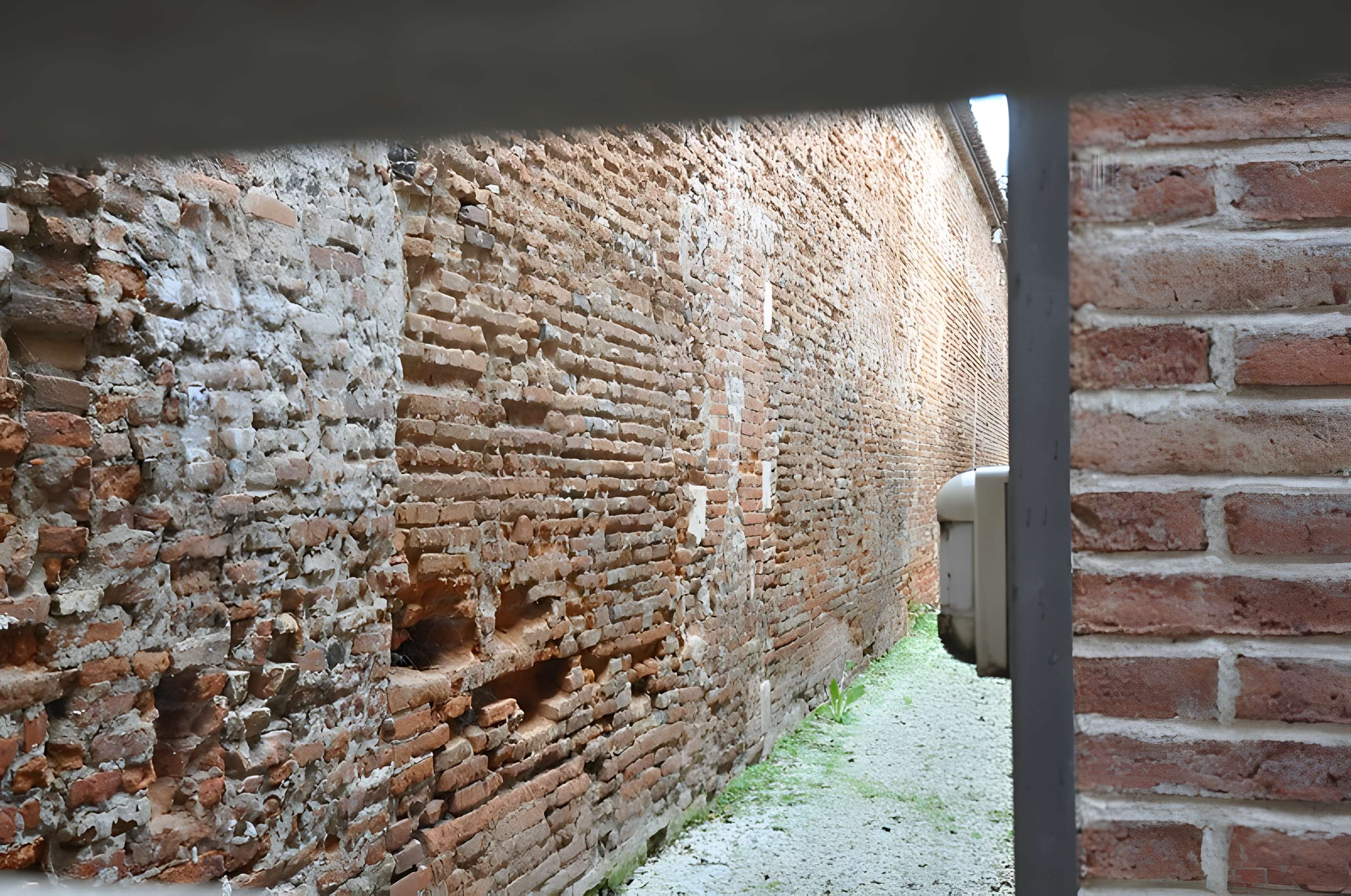 Église Saint-Pierre des Chartreux de Toulouse 