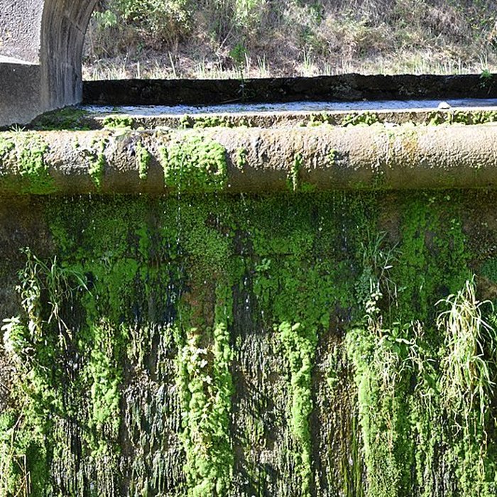 Photo de Canal du Midi : Épanchoir de lArgent-Double