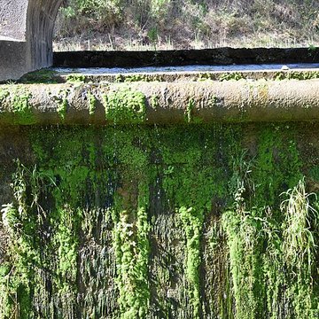 Canal du Midi : Épanchoir de lArgent-Double