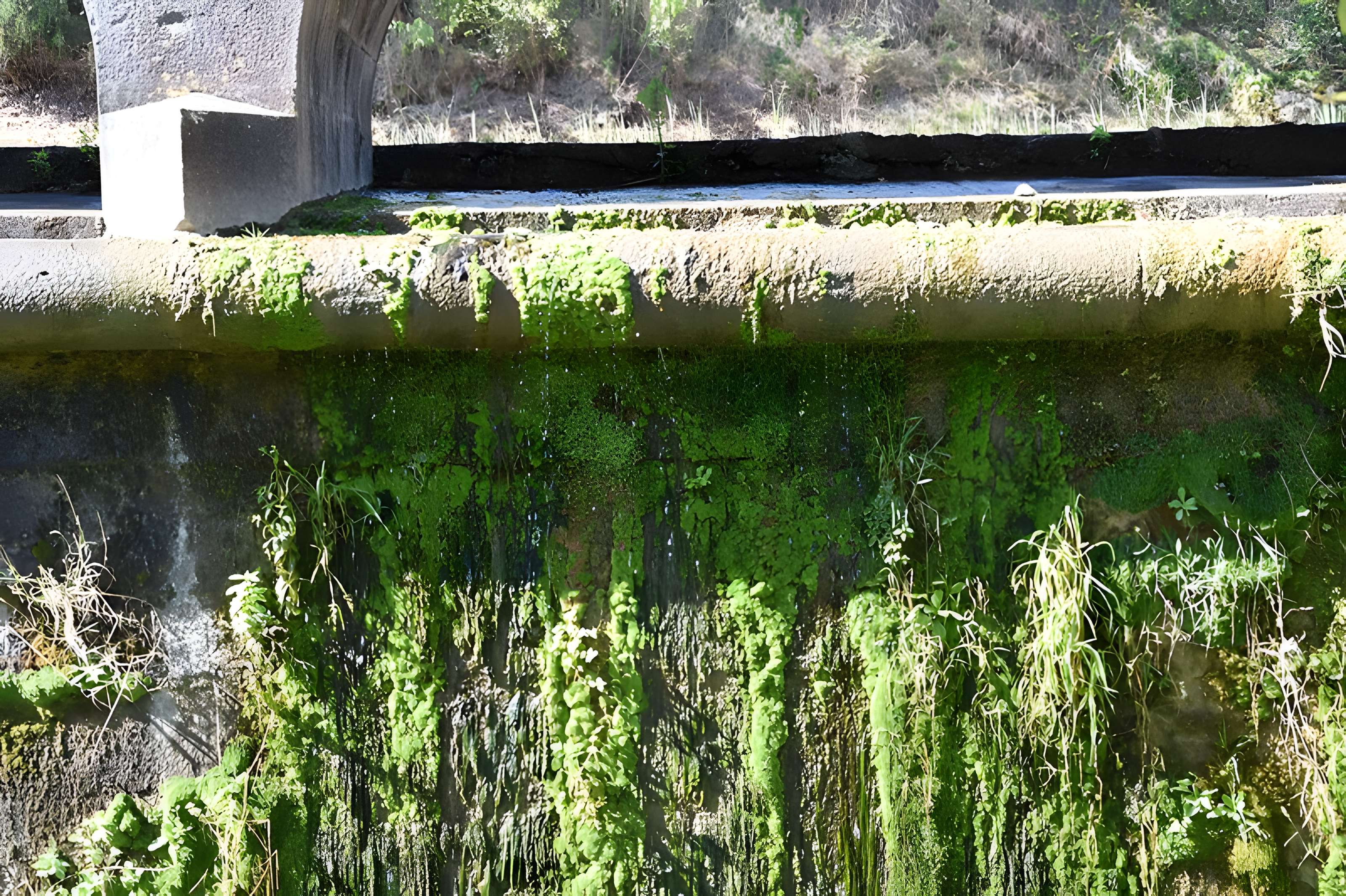 Canal du Midi : Épanchoir de l'Argent-Double