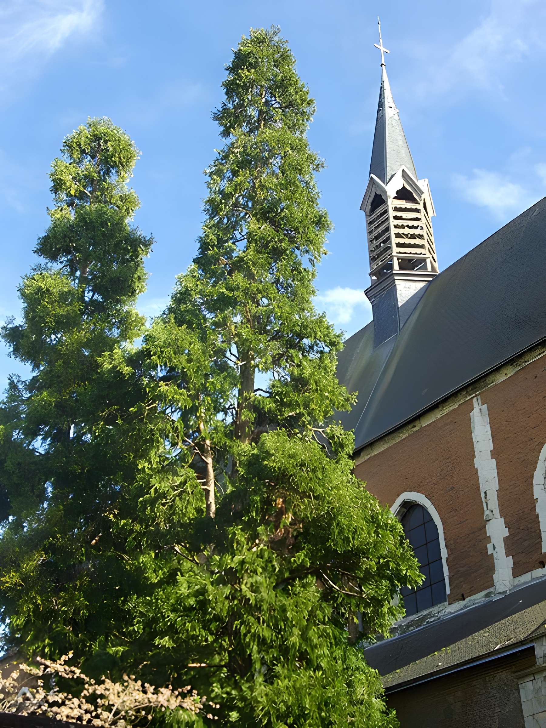 Église Saint-Pierre du Martroi d'Orléans