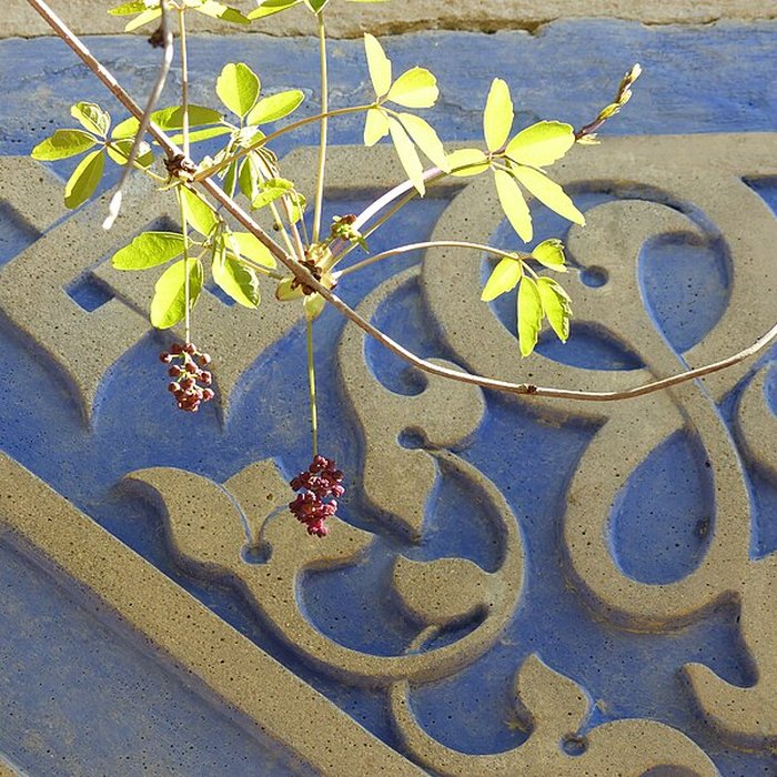 Photo de Casamaures de Saint-Martin-le-Vinoux