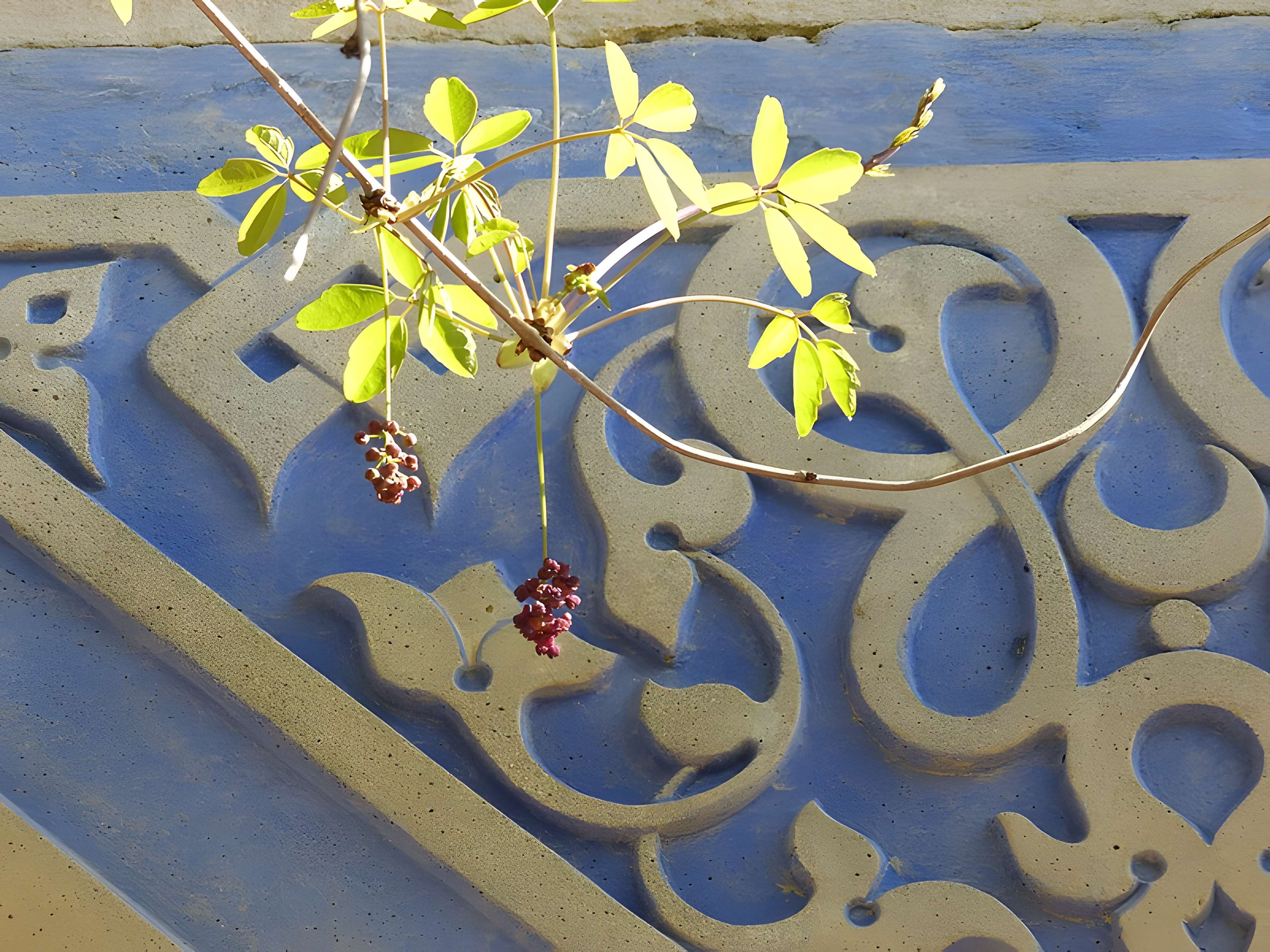 Casamaures de Saint-Martin-le-Vinoux