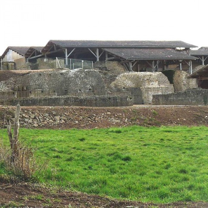 Photo de Cassinomagus de Chassenon