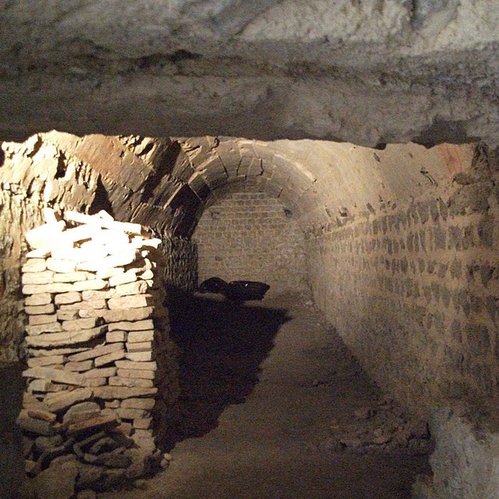 Photo de Cassinomagus de Chassenon