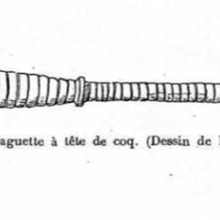 Photo de Cassinomagus de Chassenon