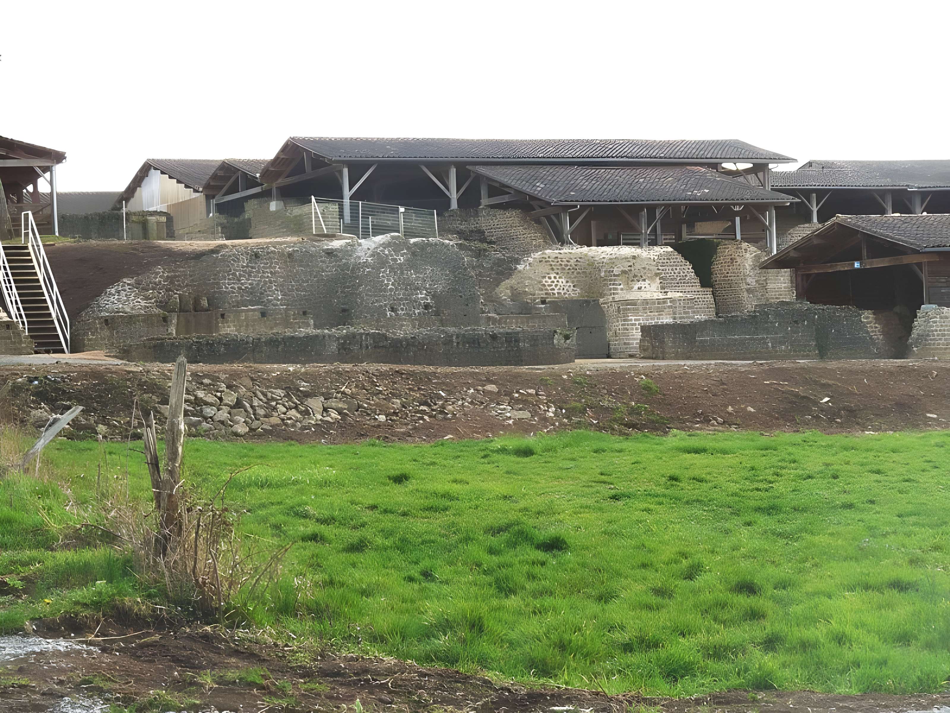 Cassinomagus de Chassenon 