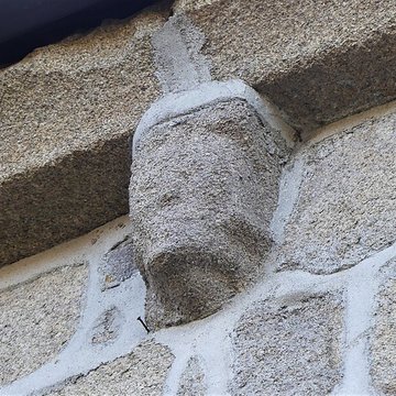 Église Saint-Pierre-et-Saint-Paul de Noth