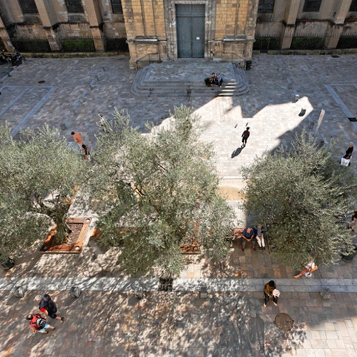 Photo de Cathédrale Notre-Dame de Dax