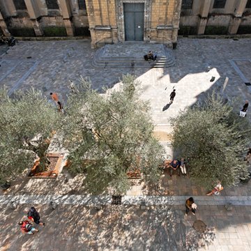 Cathédrale Notre-Dame de Dax