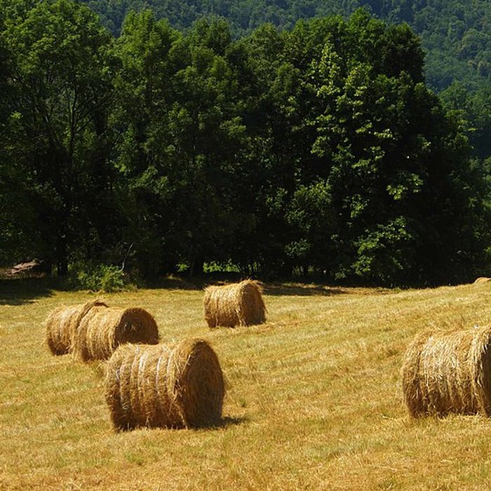Photo de Église Saint-Pierre-et-Saint-Paul dUrs