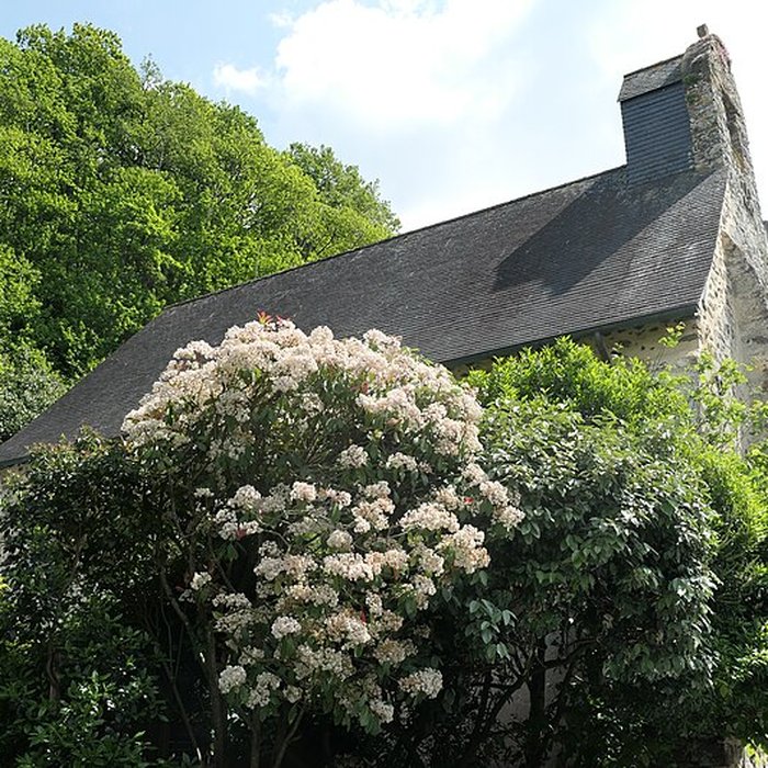 Photo de Église Saint-Pierre-le-Potier de Laval