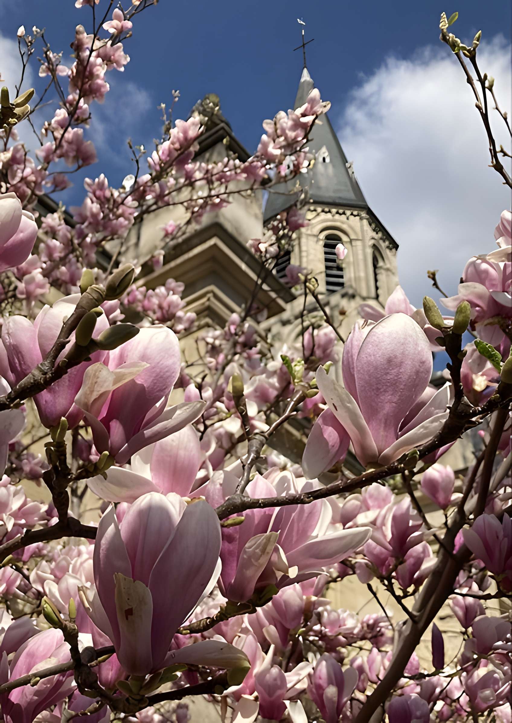 Église Saint-Pierre-Saint-Paul de Rueil-Malmaison