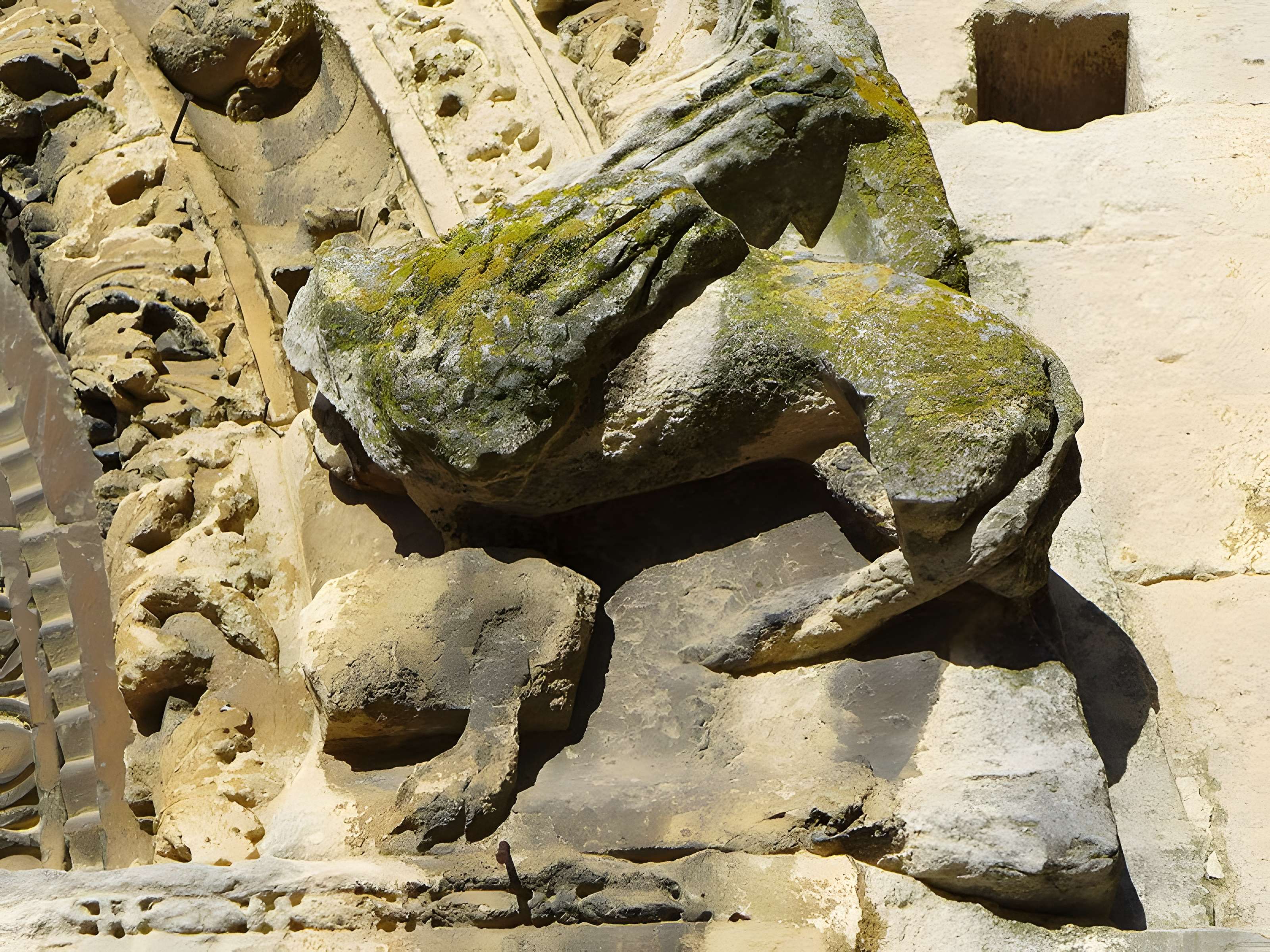 Cathédrale Notre-Dame de Saint-Paul-Trois-Châteaux