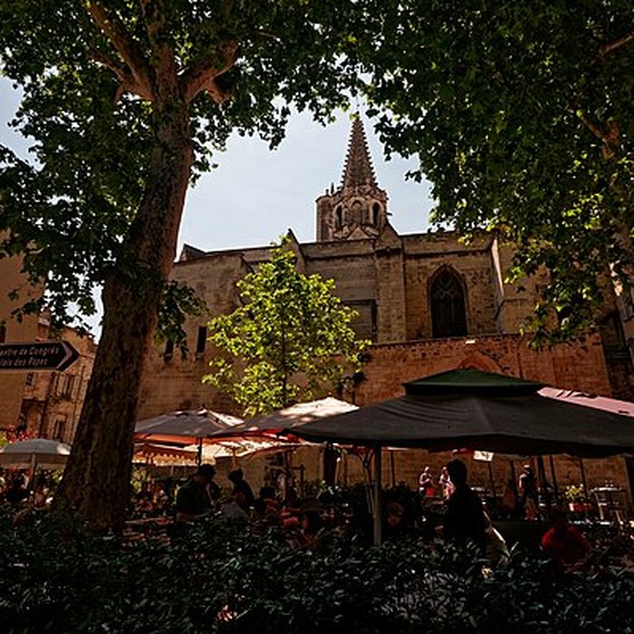 Photo de Basilique Saint-Pierre dAvignon 