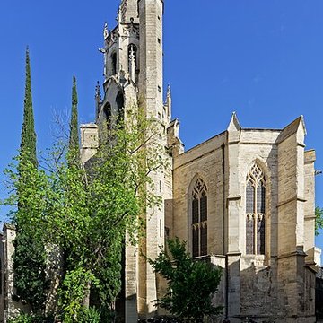 Basilique Saint-Pierre dAvignon 