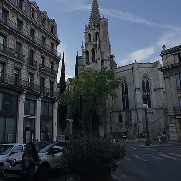 Basilique Saint-Pierre dAvignon 