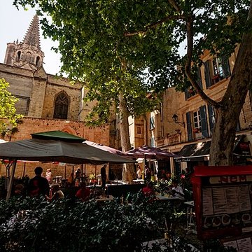 Basilique Saint-Pierre dAvignon 