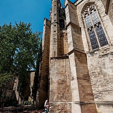 Basilique Saint-Pierre dAvignon 