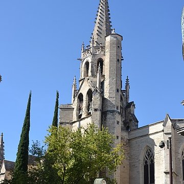 Basilique Saint-Pierre dAvignon 