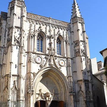 Basilique Saint-Pierre dAvignon 