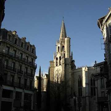 Basilique Saint-Pierre dAvignon 