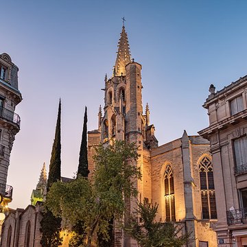 Basilique Saint-Pierre dAvignon 