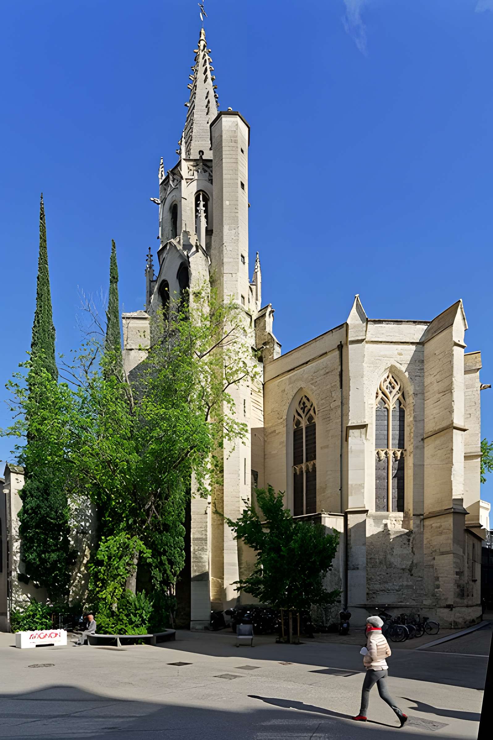 Basilique Saint-Pierre d'Avignon 