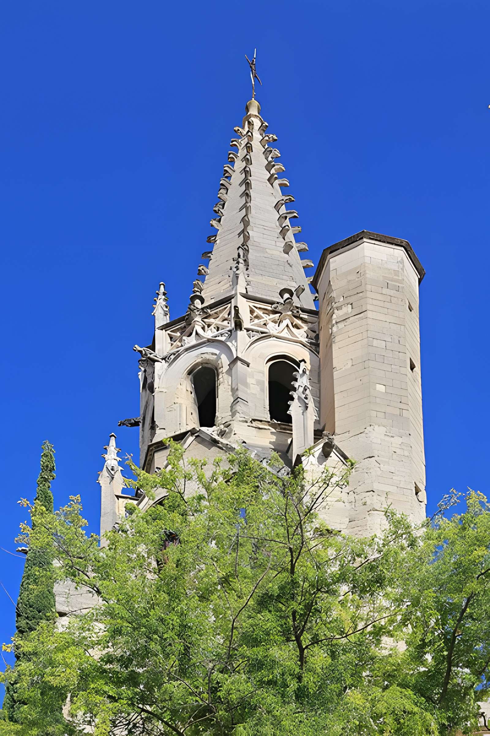 Basilique Saint-Pierre d'Avignon 