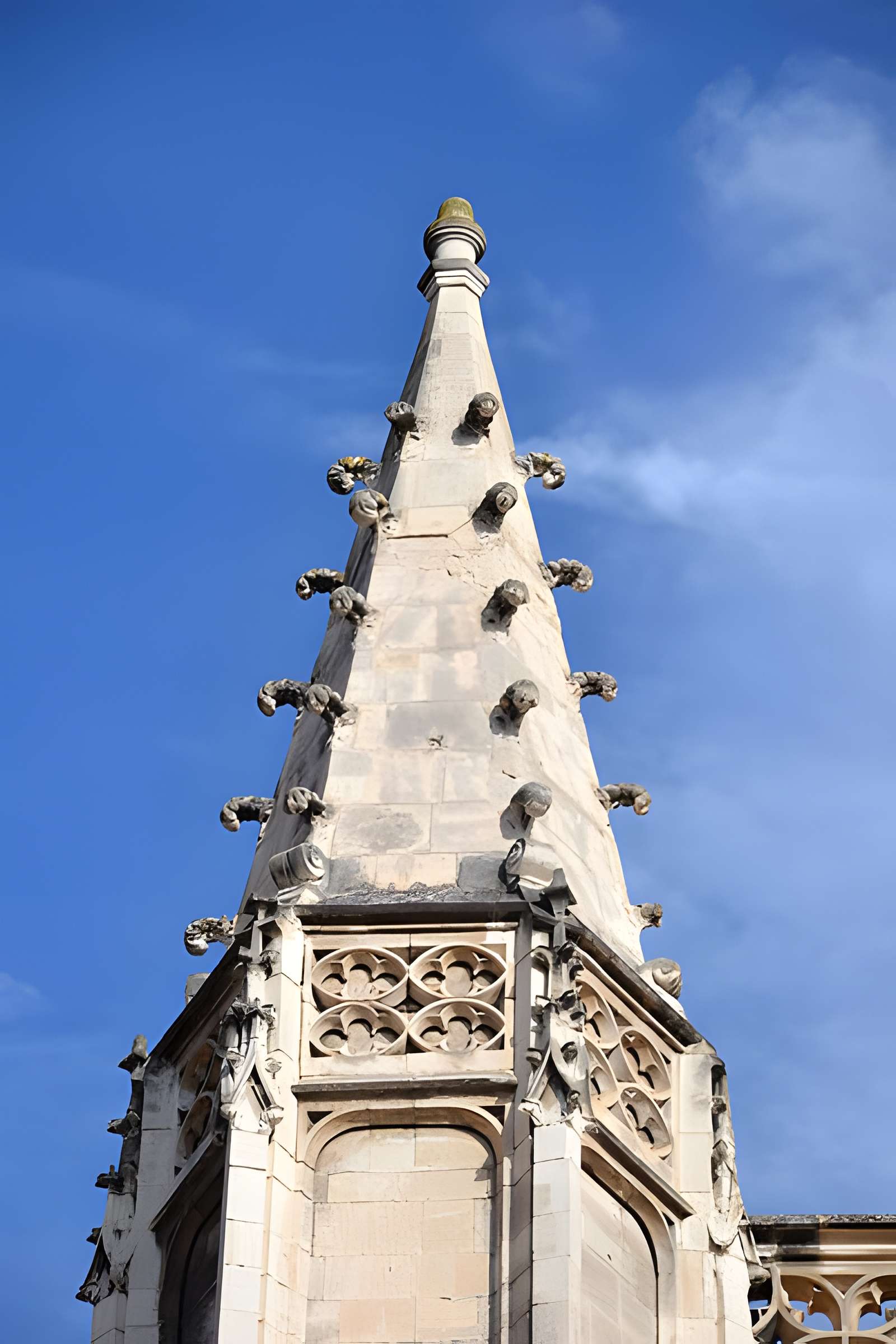 Basilique Saint-Pierre d'Avignon 