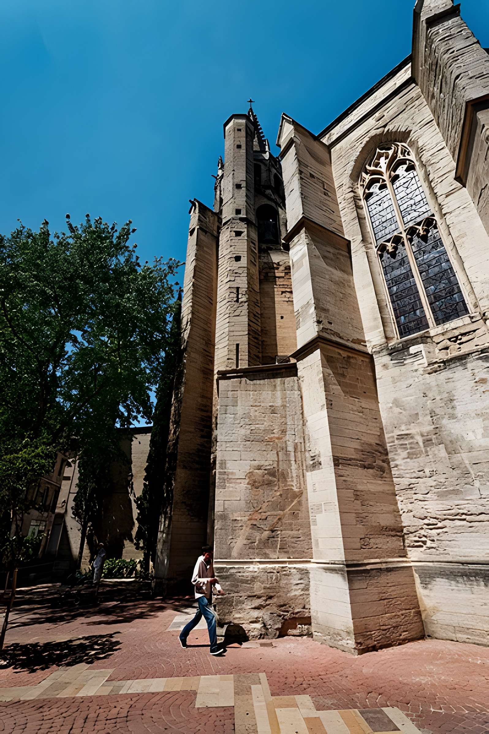 Basilique Saint-Pierre d'Avignon 