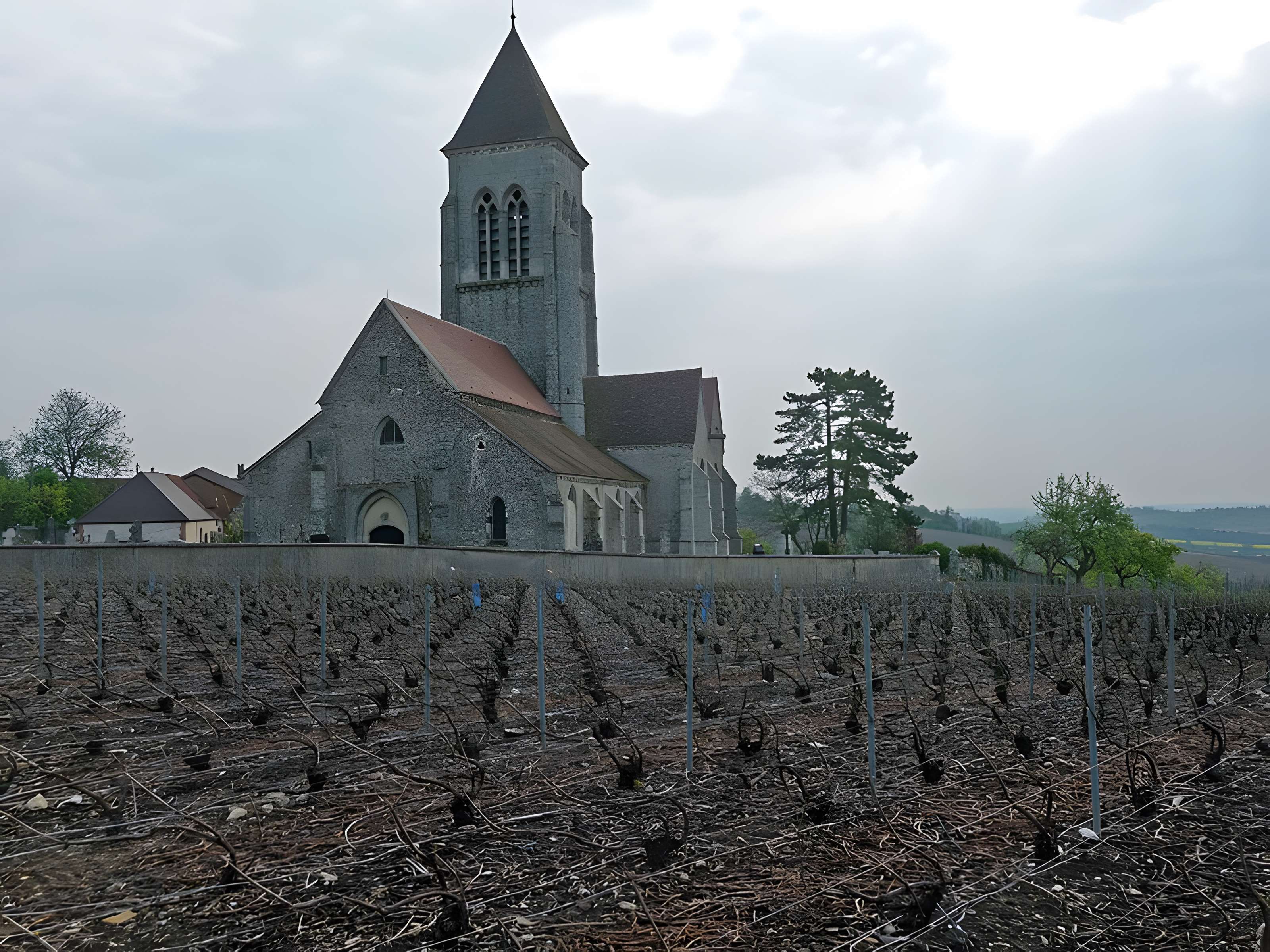 Église Saint-Remi d'Allemant