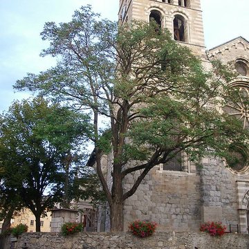 Cathédrale Notre-Dame dEmbrun