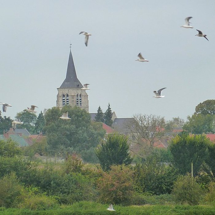 Photo de Église Saint-Rémi de Lewarde