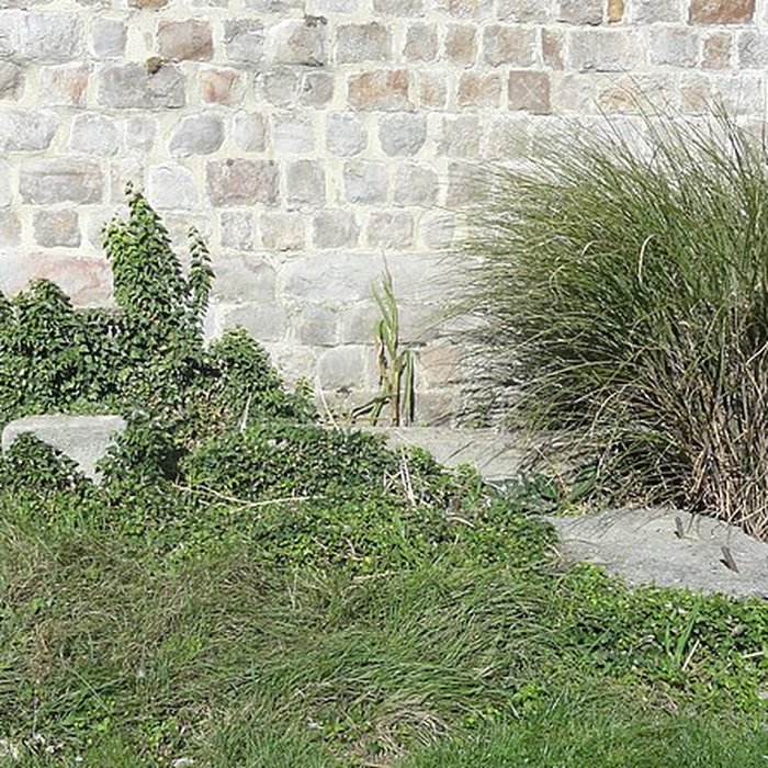 Photo de Église Saint-Rémi de Lewarde